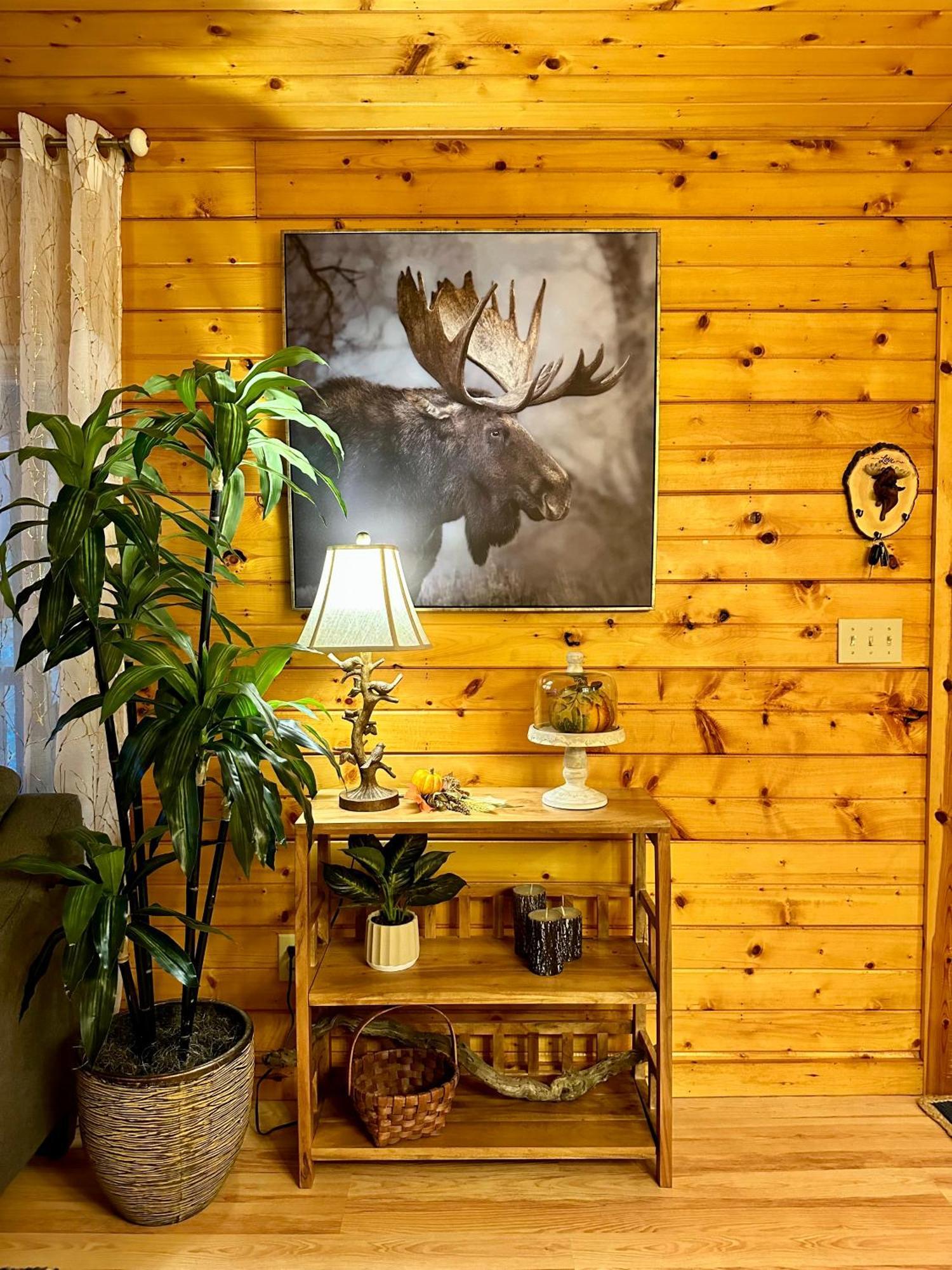 Cozy Cabin In Red River Gorge Rogers 외부 사진